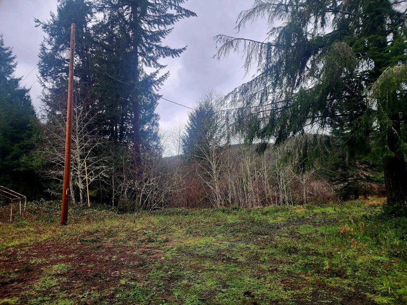 Secluded 33.55 Acre Homestead with Creek Frontage steps away - photo 9