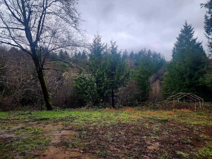 Secluded 33.55 Acre Homestead with Creek Frontage steps away - photo 10