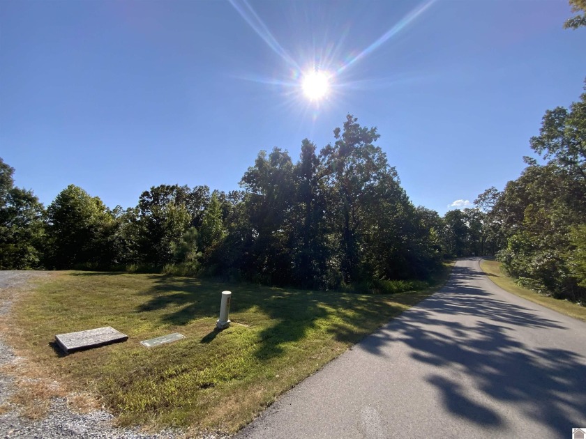 Kentucky Lake Waterfront Building Property Located in Western - photo 3