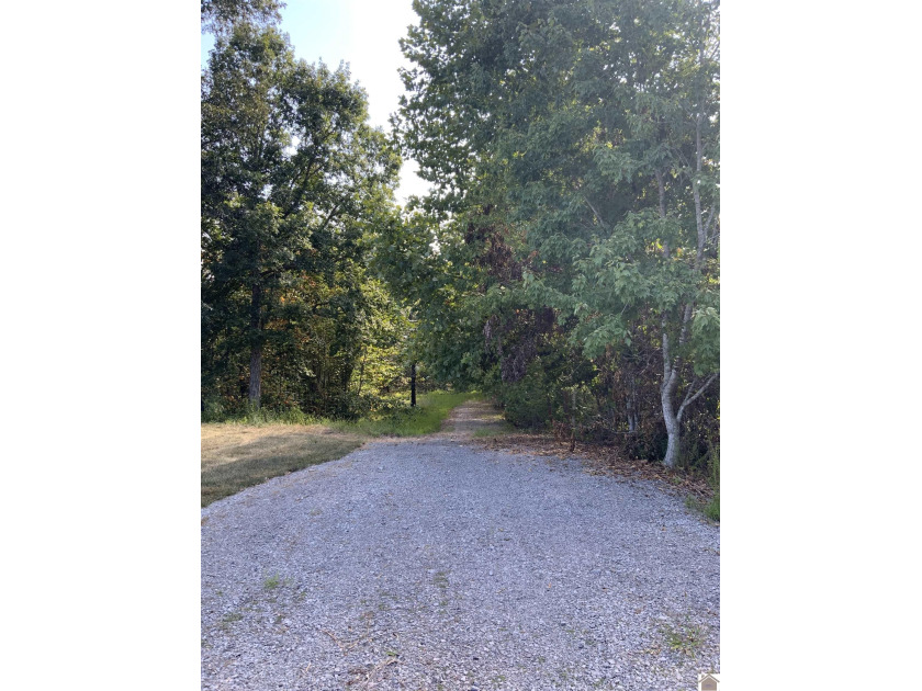 Kentucky Lake Waterfront Building Property Located in Western - photo 8