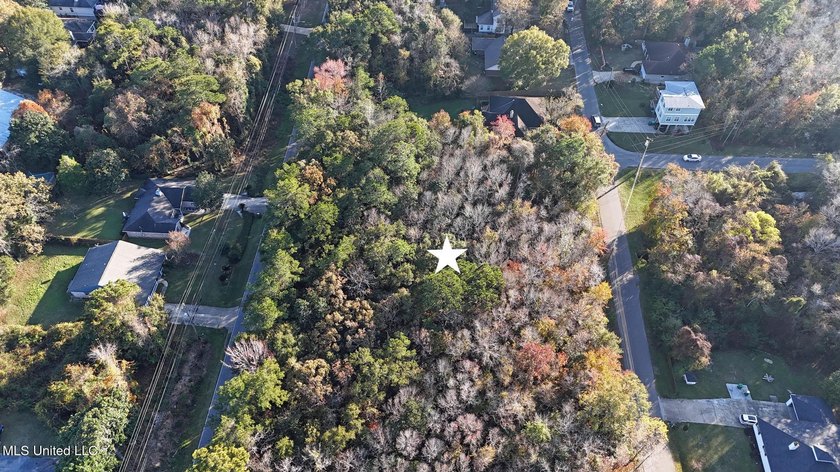 Rare opportunity to own a 1.17-acre lot with dual access from - photo 3