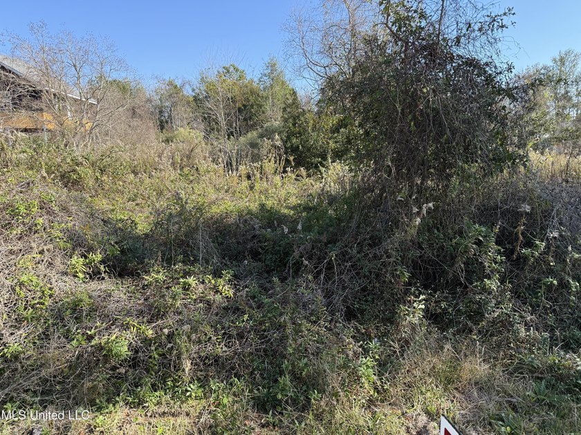 Rare find! Almost a half of acre lot in St Martin. .40 acre - photo 2