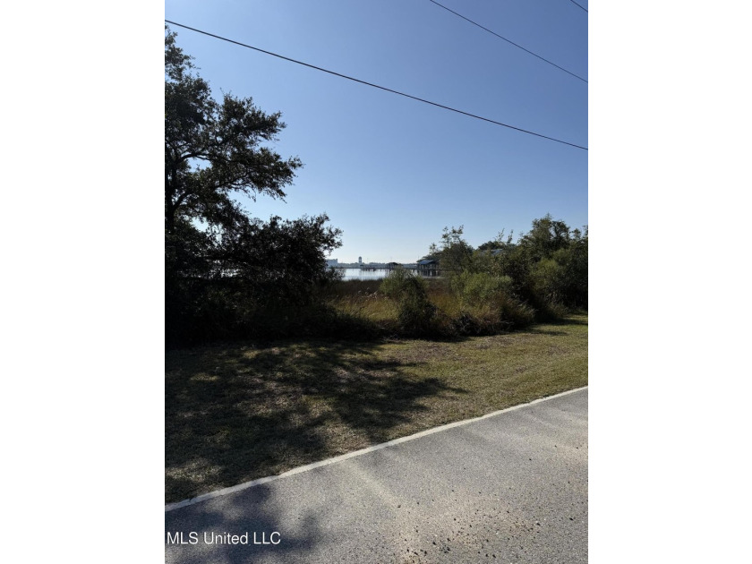Rare find! Almost a half of acre lot in St Martin. .40 acre - photo 4
