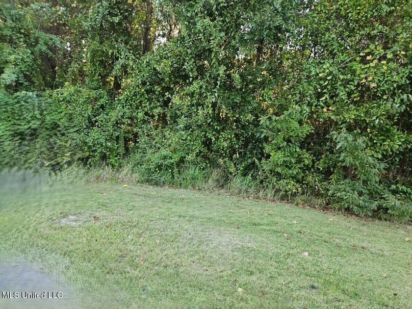 This lot (R98) and lot (R97) are 2 Residential adjacent lots - photo 2