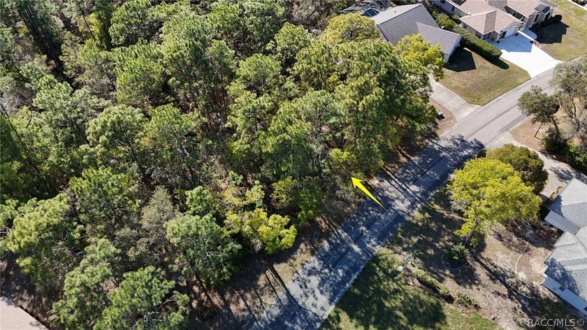 Build your dream home on this beautiful vacant lot in Sugar Mill - photo 16
