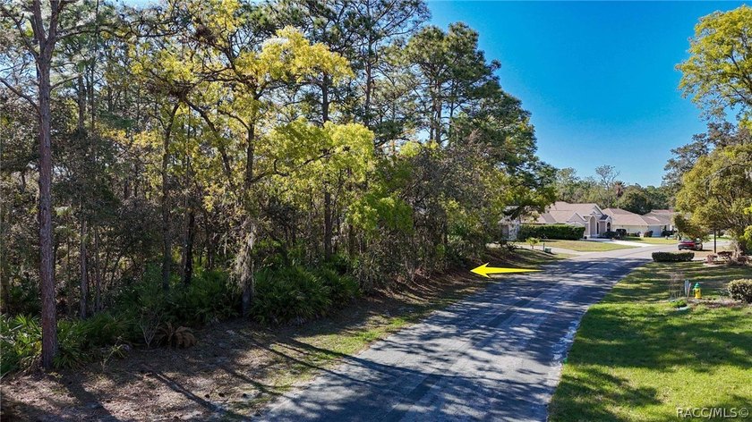 Build your dream home on this beautiful vacant lot in Sugar Mill - photo 17