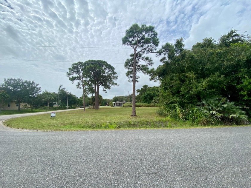 Affordable General Commercial corner lot .35 Acre mostly cleared - photo 3