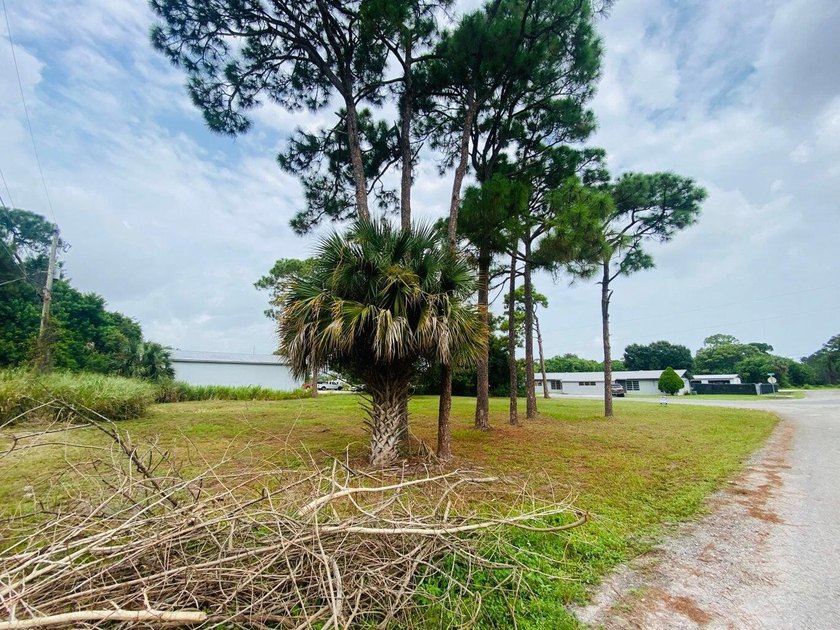 Affordable General Commercial corner lot .35 Acre mostly cleared - photo 4