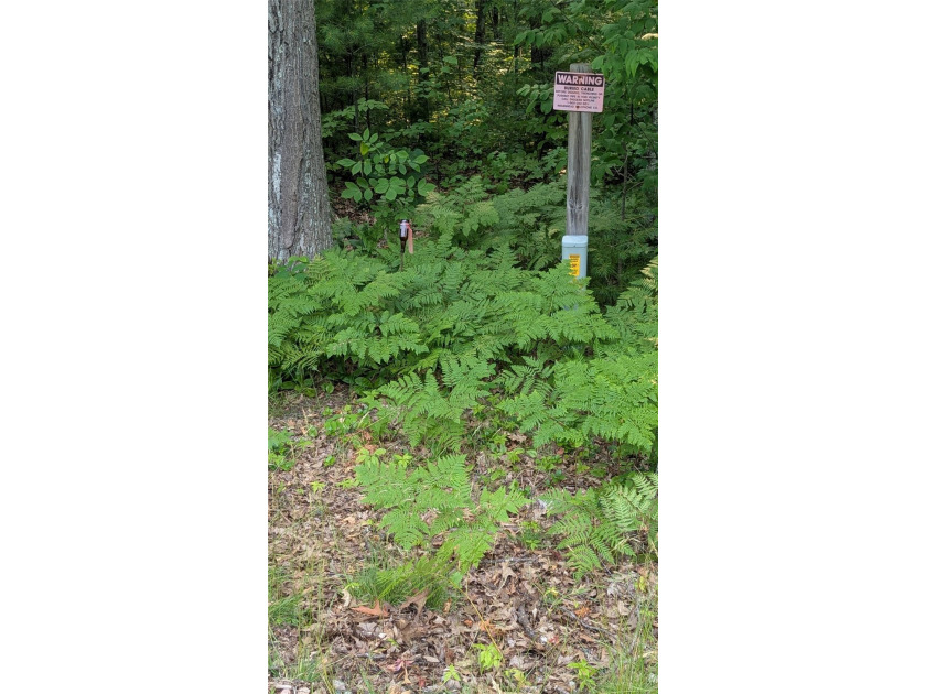 Some properties invite you to slow down and this is one of them! - photo 12