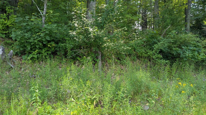 Some properties invite you to slow down and this is one of them! - photo 15