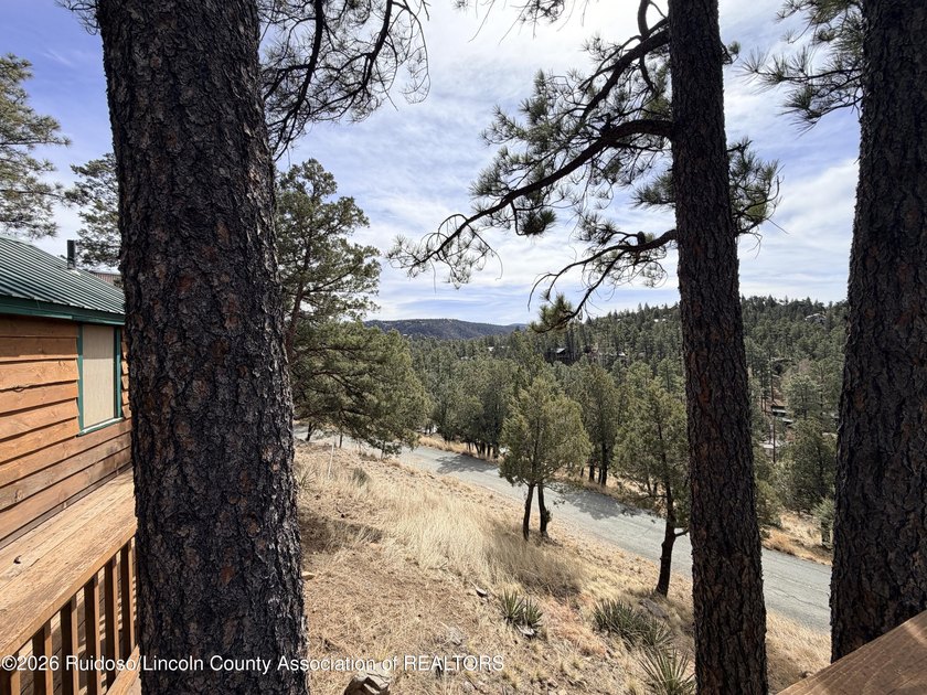 COZY CABIN WITH GREAT VIEWS! Escape to your own retreat. This - photo 5
