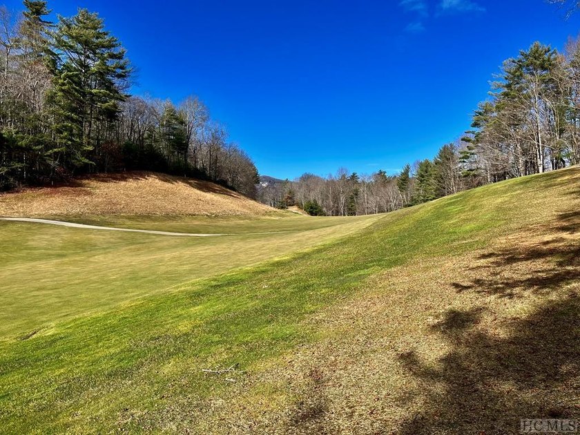 This vacant lot spans .81 acres, presenting an ideal canvas for - photo 12