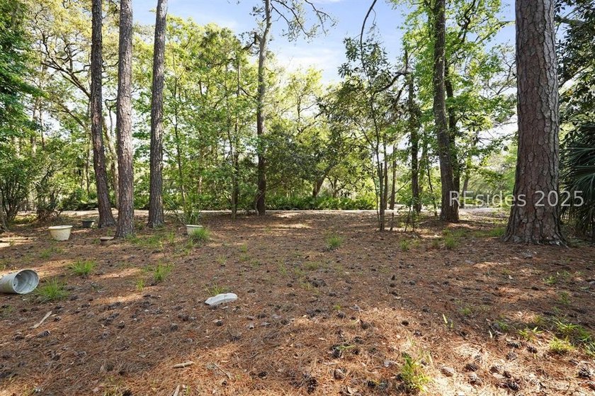 Great opportunity to make this Hilton Head Island home your own - photo 47