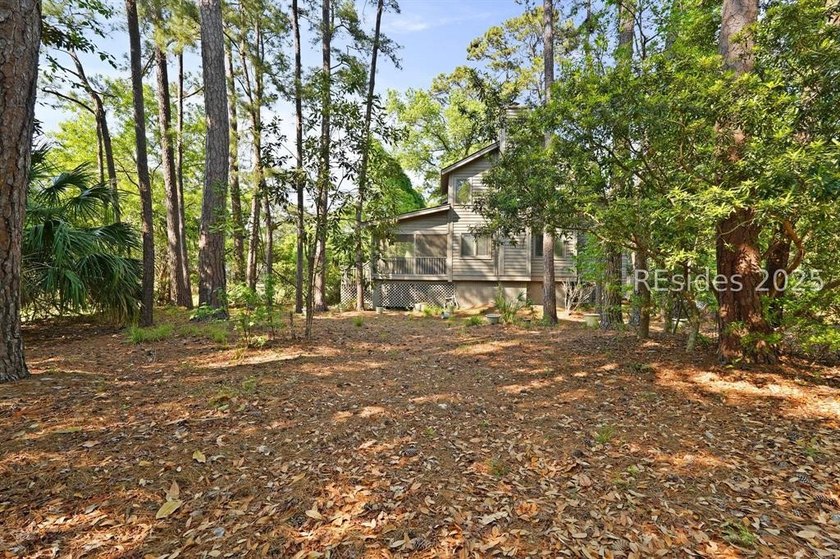 Great opportunity to make this Hilton Head Island home your own - photo 48