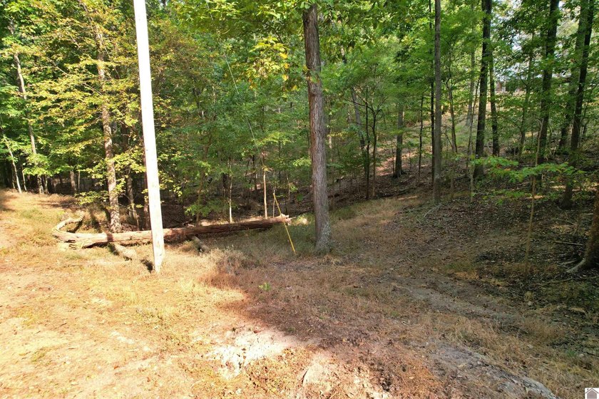 Waterfront lot on Kentucky Lake near Moors Resort, Kentucky Dam - photo 8