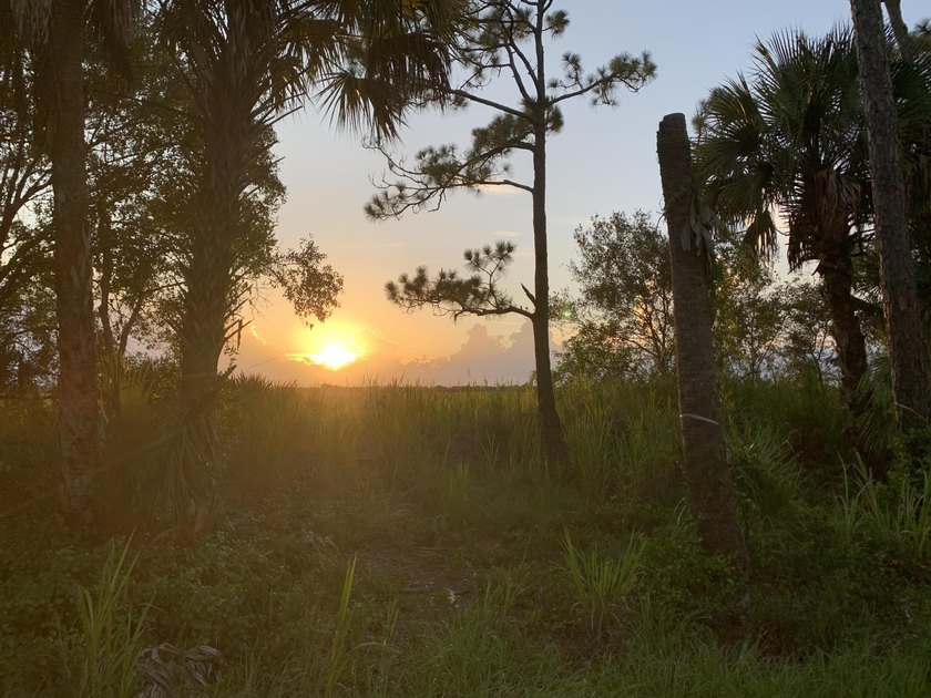 Discover the potential of this expansive land property located - photo 4