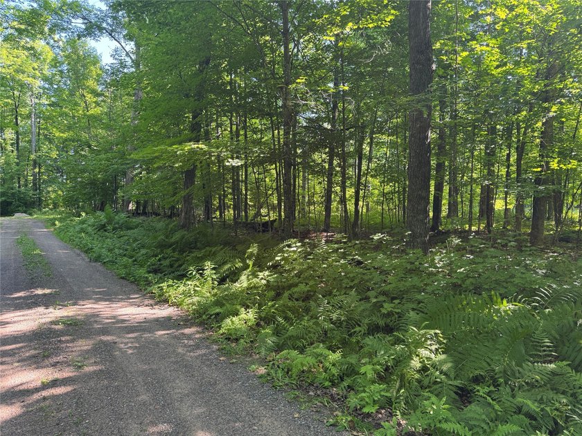 Build your Northwoods getaway on this beautiful waterfront lot - photo 12