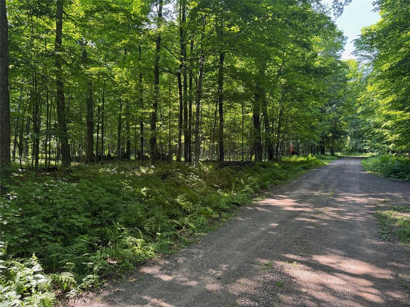 Build your Northwoods getaway on this beautiful waterfront lot - photo 13