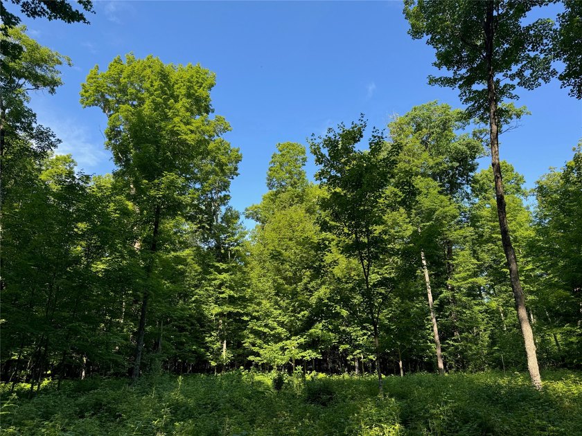 Build your Northwoods getaway on this beautiful waterfront lot - photo 15