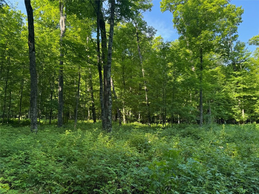 Build your Northwoods getaway on this beautiful waterfront lot - photo 16