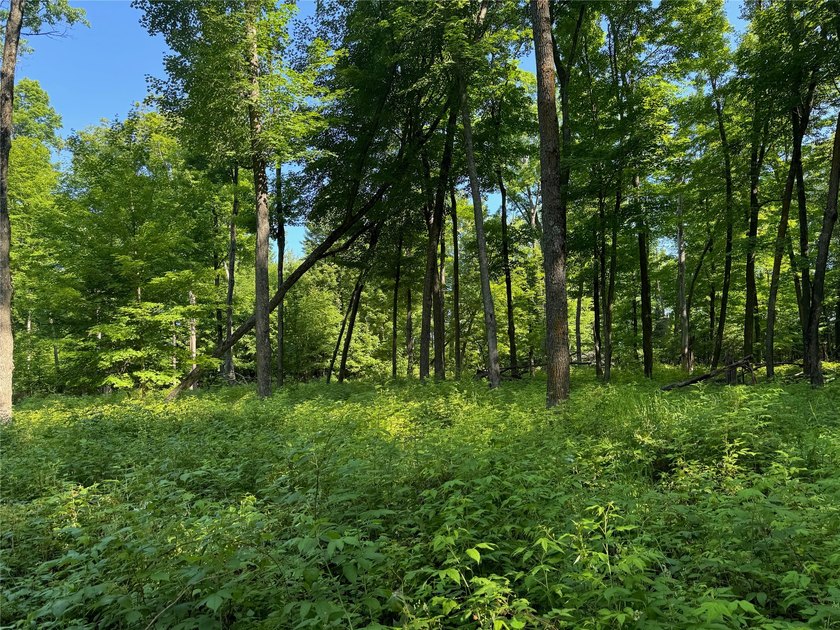 Build your Northwoods getaway on this beautiful waterfront lot - photo 17
