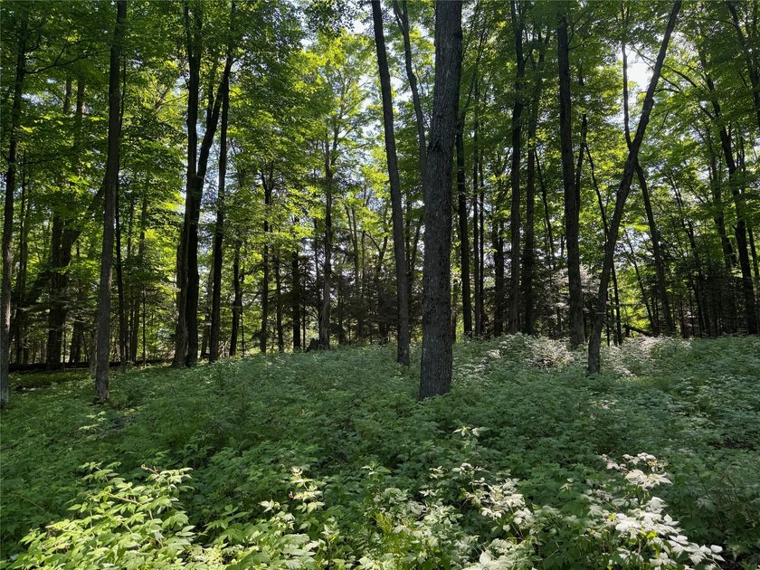 Build your Northwoods getaway on this beautiful waterfront lot - photo 18