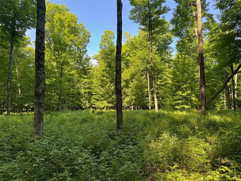 Build your Northwoods getaway on this beautiful waterfront lot - photo 19