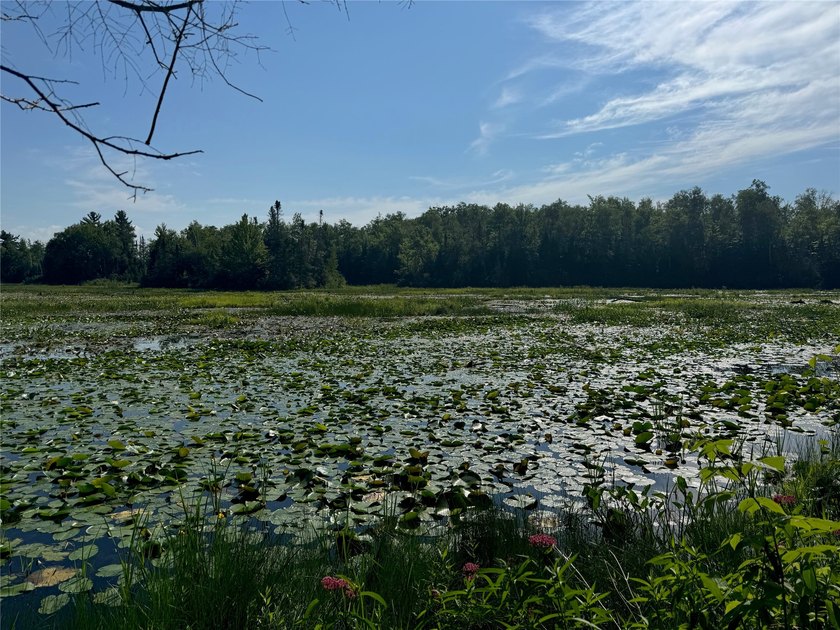 Build your Northwoods getaway on this beautiful waterfront lot - photo 23
