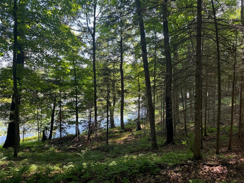 Build your Northwoods getaway on this beautiful waterfront lot - photo 25
