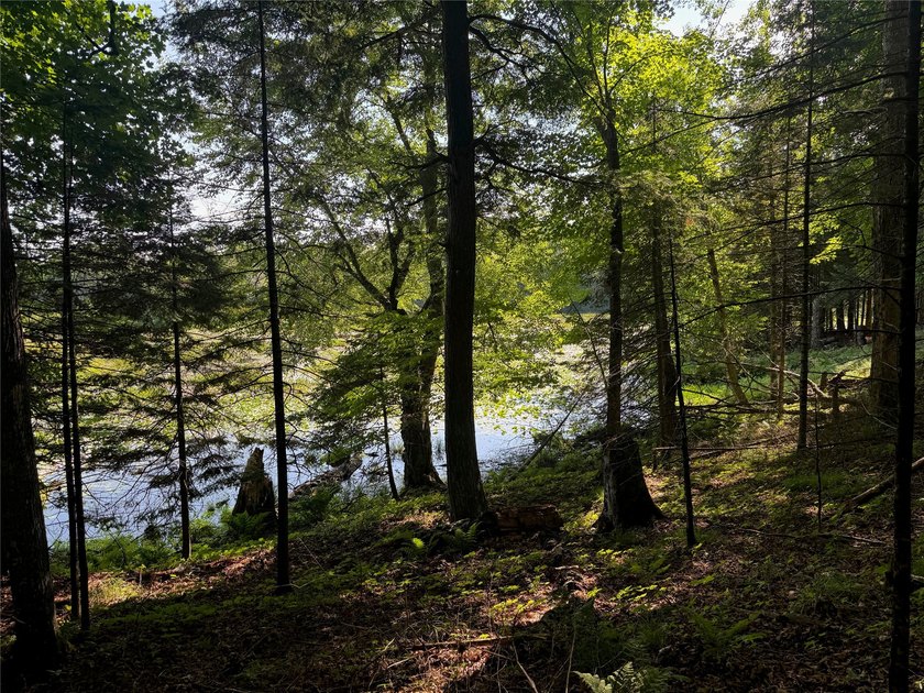 Build your Northwoods getaway on this beautiful waterfront lot - photo 26