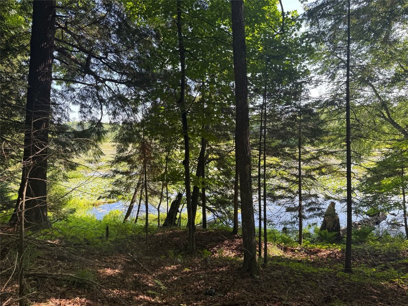 Build your Northwoods getaway on this beautiful waterfront lot - photo 27