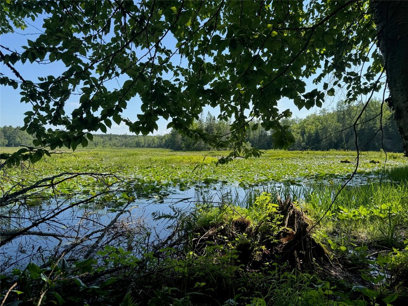 Build your Northwoods getaway on this beautiful waterfront lot - photo 31