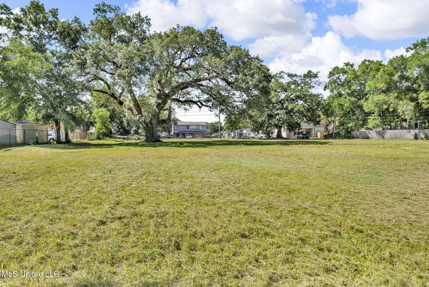 Cleared lot in the heart of Biloxi. At one time was the location - photo 19