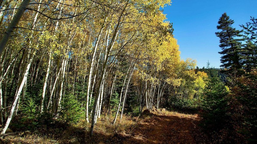 The Ranch at Angel Fire is a rare legacy opportunity to own the - photo 11