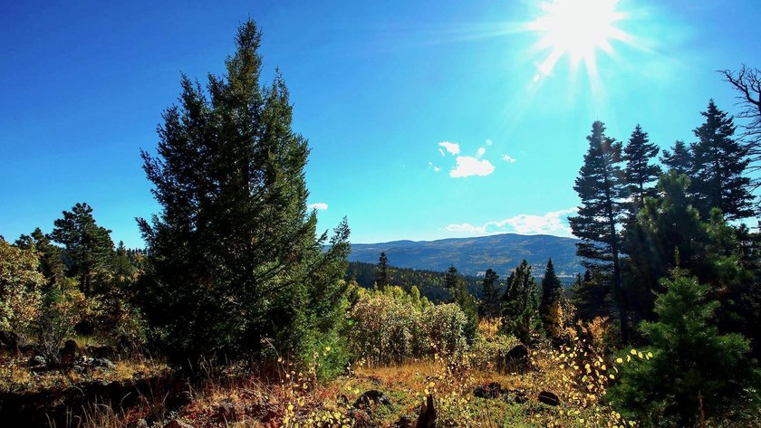 The Ranch at Angel Fire is a rare legacy opportunity to own the - photo 13