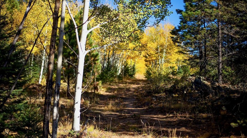 The Ranch at Angel Fire is a rare legacy opportunity to own the - photo 16