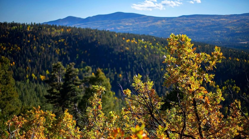 The Ranch at Angel Fire is a rare legacy opportunity to own the - photo 28
