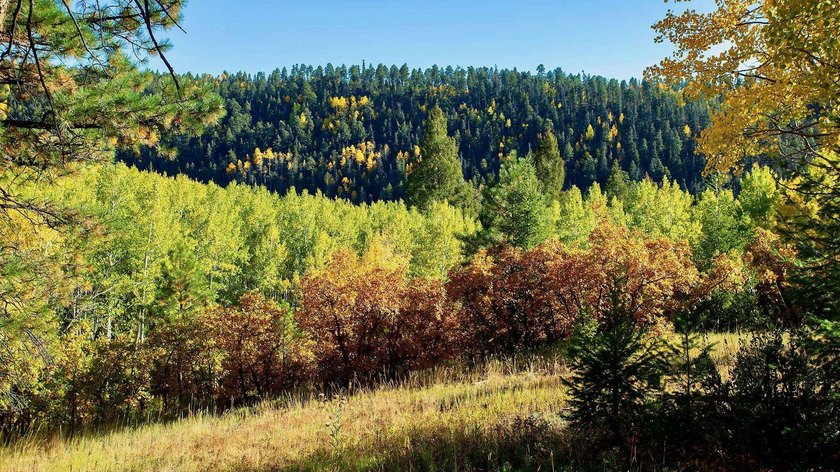 The Ranch at Angel Fire is a rare legacy opportunity to own the - photo 29