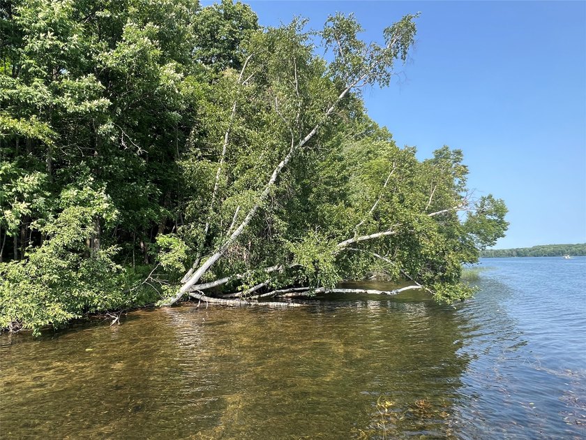 Gorgeous, log-sided property on Slim Lake at the end of a quiet - photo 50