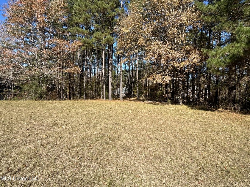 Build your dream home on this 2+/- acre residential lot located - photo 5