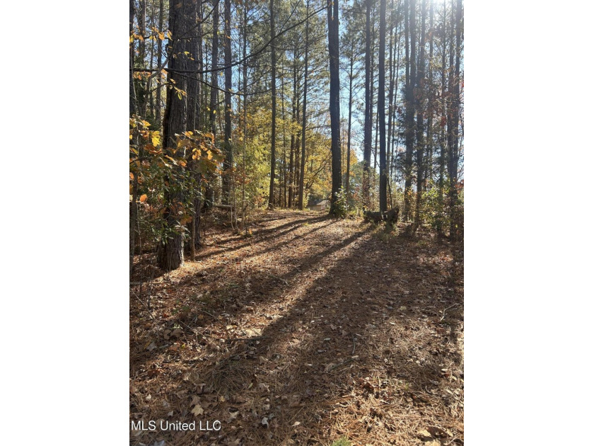 Build your dream home on this 2+/- acre residential lot located - photo 7