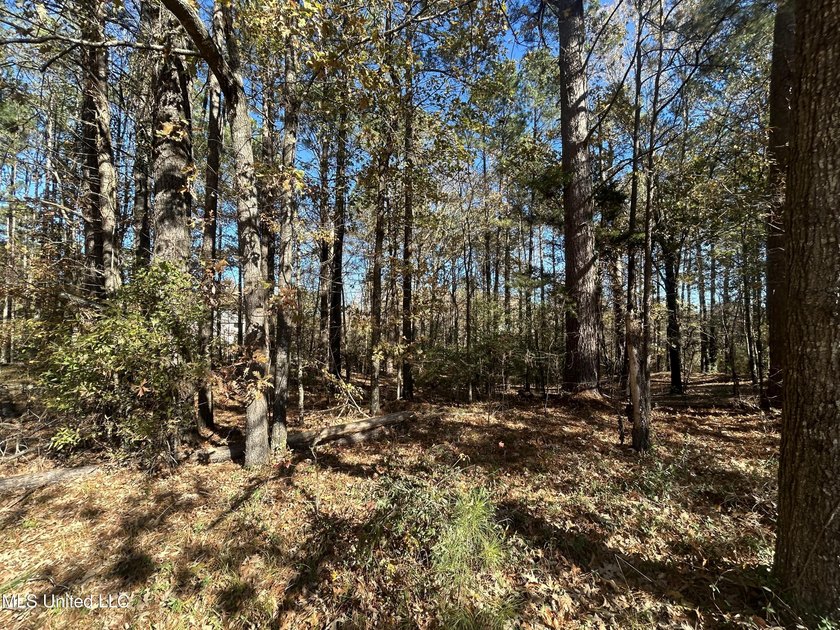 Build your dream home on this 2+/- acre residential lot located - photo 8