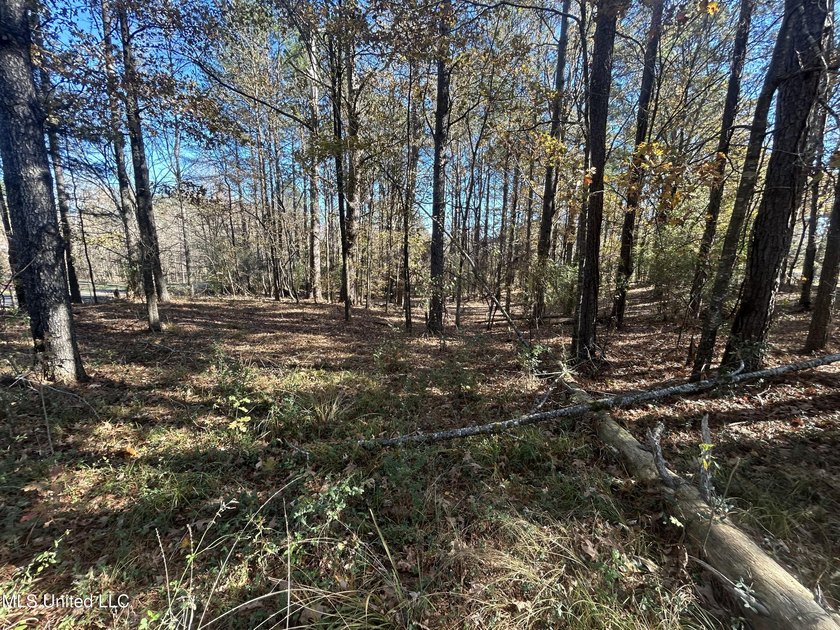 Build your dream home on this 2+/- acre residential lot located - photo 9