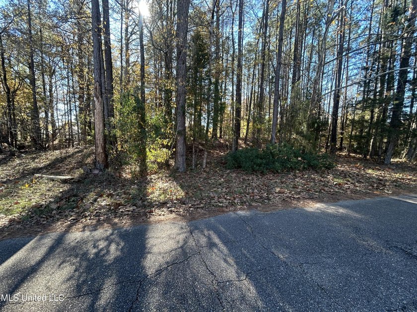 Build your dream home on this 2+/- acre residential lot located - photo 10