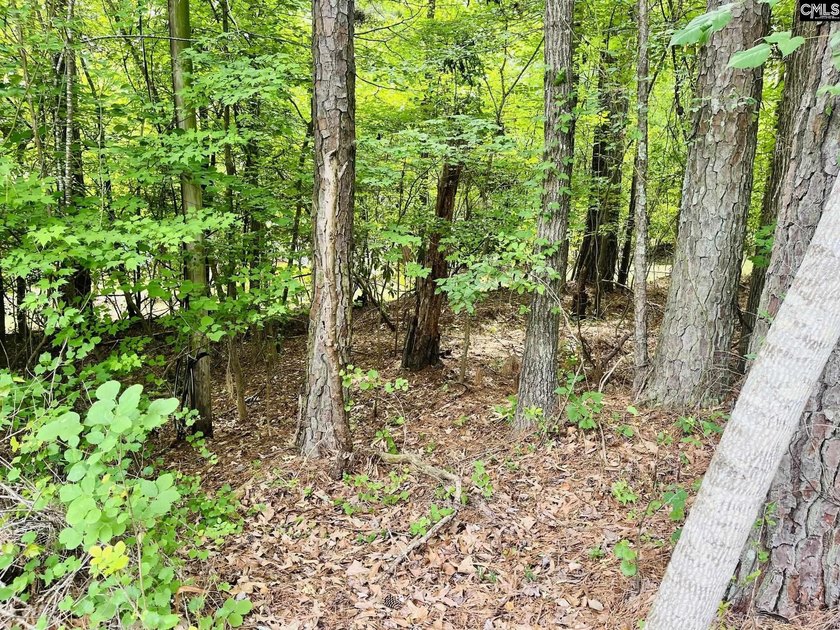 Come build your lake cabin on your very own dock approved lot on - photo 4