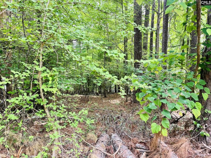 Come build your lake cabin on your very own dock approved lot on - photo 6
