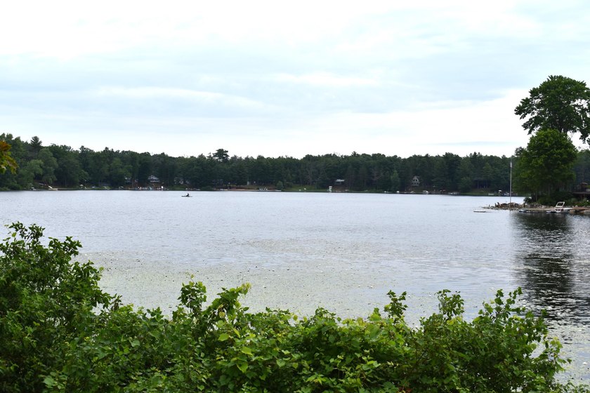 79.5 Acres with a cabin overlooking a small spring fed pond. No - photo 7