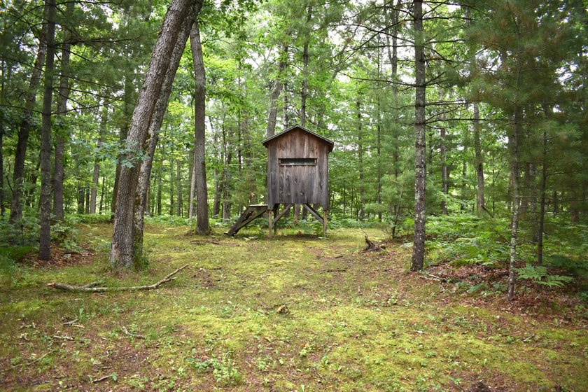 79.5 Acres with a cabin overlooking a small spring fed pond. No - photo 10