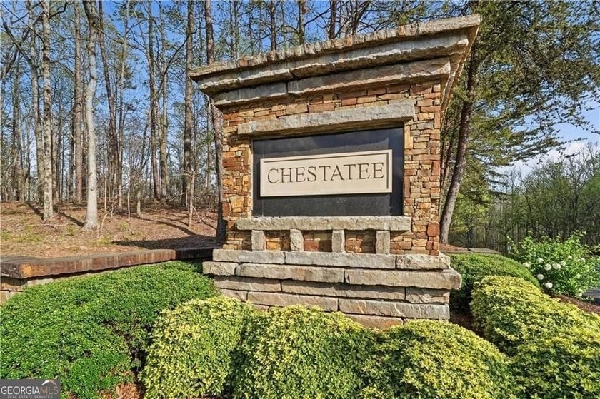 Welcome to an exceptional opportunity in Chestatee-Dawsonville's - photo 48