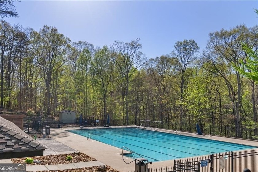 Welcome to an exceptional opportunity in Chestatee-Dawsonville's - photo 50
